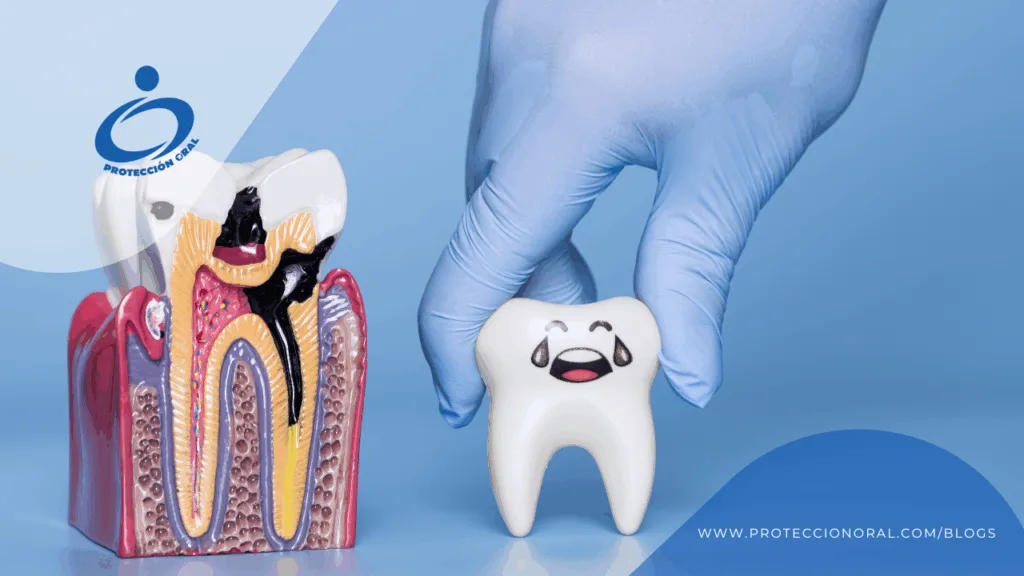 prevenir caries. alimentos que ayudan a prevenir caries y agua como bebida principal